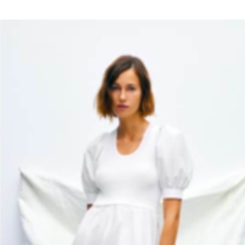 NWT Zara dress! Sold out on the website!